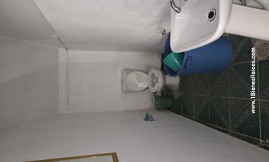 Bodega en Renta en Avenida Tecnológico en Celaya Gto