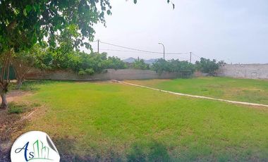 VENTA TERRENO SHANGRILLA PUENTE PIEDRA