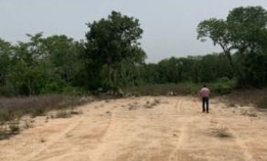 Lote Enara