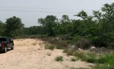 Lote Enara