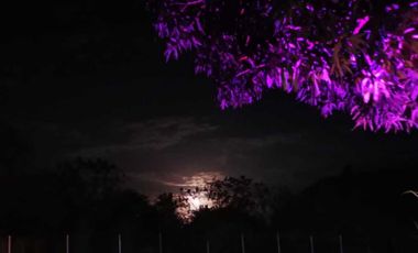 VENTA DE CASA DE PLAYA , CHAME CV