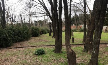 Lote En Venta 2500 m2 Tierras de Morenito - Moreno Norte