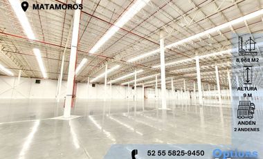 Industrial warehouse rental in Matamoros