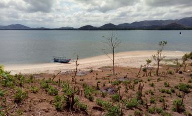 Jual Cepat Tanah murah pinggir pantai Sekotong Lombok