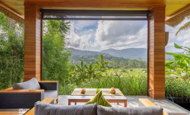 Beautiful Villa in Sidemen Valley fully furnished 2 bedrooms