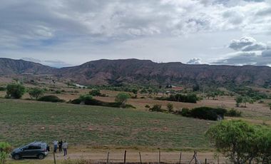 casa en venta en centro. Cod V1332