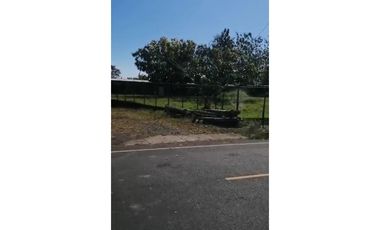 VENDO 800 HECTAREAS EN  SON, PRECIO NEGOCIABLE satiago