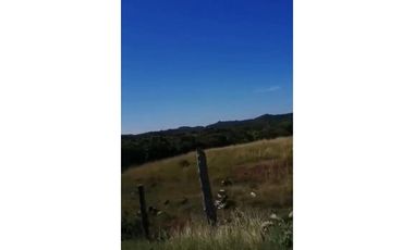 VENDO 800 HECTAREAS EN  SON, PRECIO NEGOCIABLE satiago
