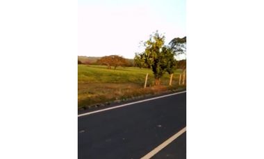 VENDO 800 HECTAREAS EN  SON, PRECIO NEGOCIABLE satiago