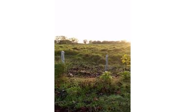VENDO 800 HECTAREAS EN  SON, PRECIO NEGOCIABLE satiago