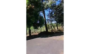 VENDO 800 HECTAREAS EN  SON, PRECIO NEGOCIABLE satiago