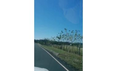 VENDO 800 HECTAREAS EN  SON, PRECIO NEGOCIABLE satiago