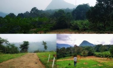 Tanah Kebun Produktif Pemandangan yang spektakuler