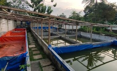 Dijual Murah Tanah Luas Ada Lahan Usaha Di Tanah Sareal