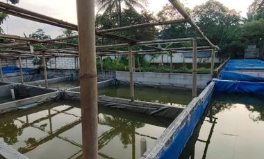 Dijual Murah Tanah Luas Ada Lahan Usaha Di Tanah Sareal