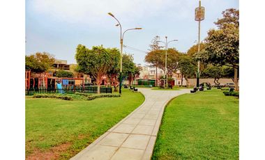 Se Alquila Amplia Casa Solo Primer Piso  – Ideal Para Oficinas O Negocios Surco A Una Cuadra De La Av. Polo