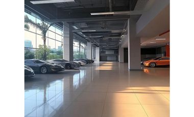 LOCAL COMERCIAL DE ESTRENO EN TODA LA AVENIDA DE LAS AMERICAS