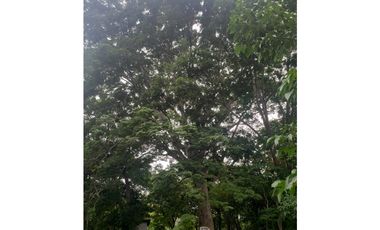 VENTA DE TERRENO DE PLAYA, COSTA ESMERALDA