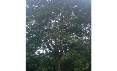 VENTA DE TERRENO DE PLAYA, COSTA ESMERALDA