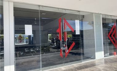 LOCAL PLAZA PABELLON LAS TORRES