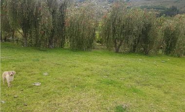 Hacienda con casa y terreno en venta tipo quinta en paute