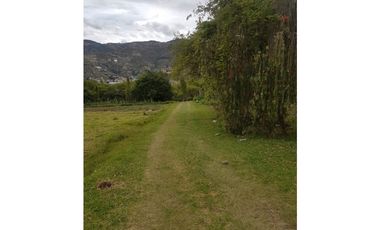 Hacienda con casa y terreno en venta tipo quinta en paute