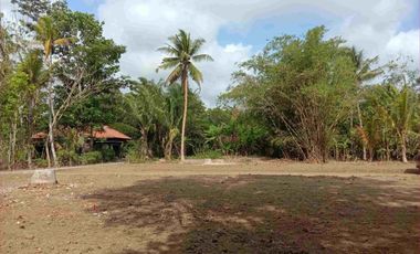 TANAH KAVLING PURWOREJO 80 JT-AN DEKAT STASIUN JENAR