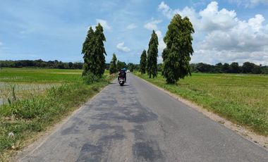 TANAH KAVLING PURWOREJO 80 JT-AN DEKAT STASIUN JENAR