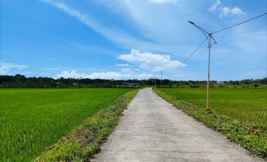 TANAH KAVLING PURWOREJO 80 JT-AN DEKAT STASIUN JENAR