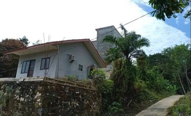 Rumah dan Sarang Burung Walet di Kotabaru Kalimantan Selatan