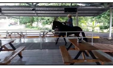 VENDO CABAÑA, RESTAURANTE Y TERRENO DE 5000M2 INTERAMERICANA
