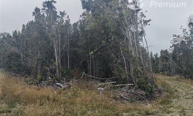 Parcela en venta en Fresia