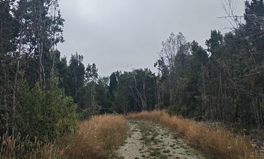 Parcela en venta en Fresia