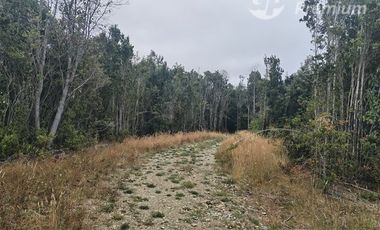 Parcela en venta en Fresia