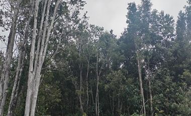 Parcela en venta en Fresia