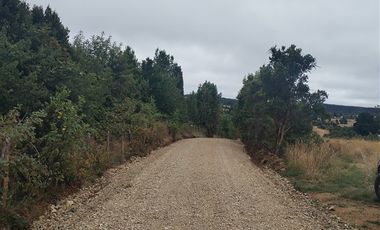 Parcela en venta en Fresia