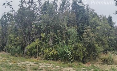 Parcela en venta en Fresia