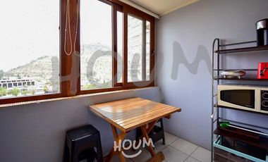 Departamento Metro Manuel Montt ID: 116452r