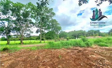 FINCA EN PANAMERICANA, CHIRIQU. EN VENTA