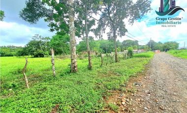 FINCA EN PANAMERICANA, CHIRIQU. EN VENTA