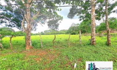 FINCA EN PANAMERICANA, CHIRIQU. EN VENTA