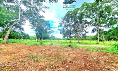 FINCA EN PANAMERICANA, CHIRIQU. EN VENTA