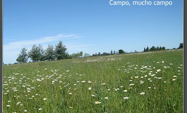Lotes en Benquerencia Farm Club. Consulte distintas opciones