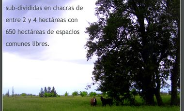 Lotes en Benquerencia Farm Club. Consulte distintas opciones
