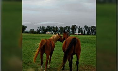 Lotes en Benquerencia Farm Club. Consulte distintas opciones