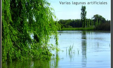 Lotes en Benquerencia Farm Club. Consulte distintas opciones