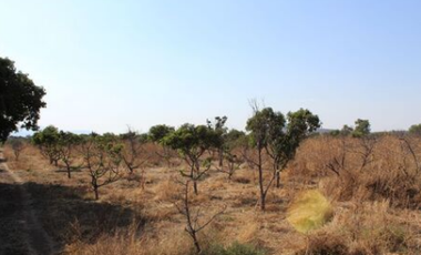 Rancho Agrícola en Zacoalco Jalisco
