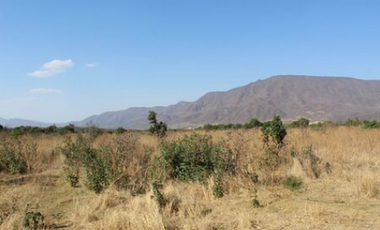 Rancho Agrícola en Zacoalco Jalisco