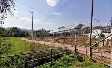 Rancho En Acatlán, Hidalgo (producción Ganadera Y de Queso).