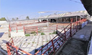 Rancho En Acatlán, Hidalgo (producción Ganadera Y de Queso).